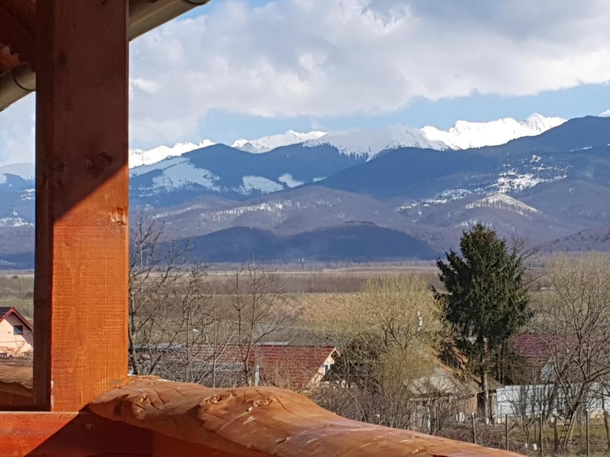 Pensiunea Leia Transfagarasan Cartisoara Luaran gambar