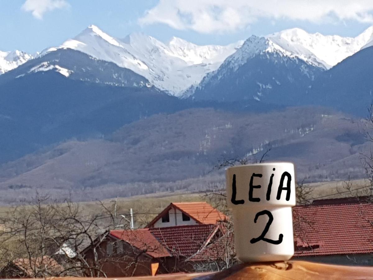 Pensiunea Leia Transfagarasan Cartisoara Luaran gambar