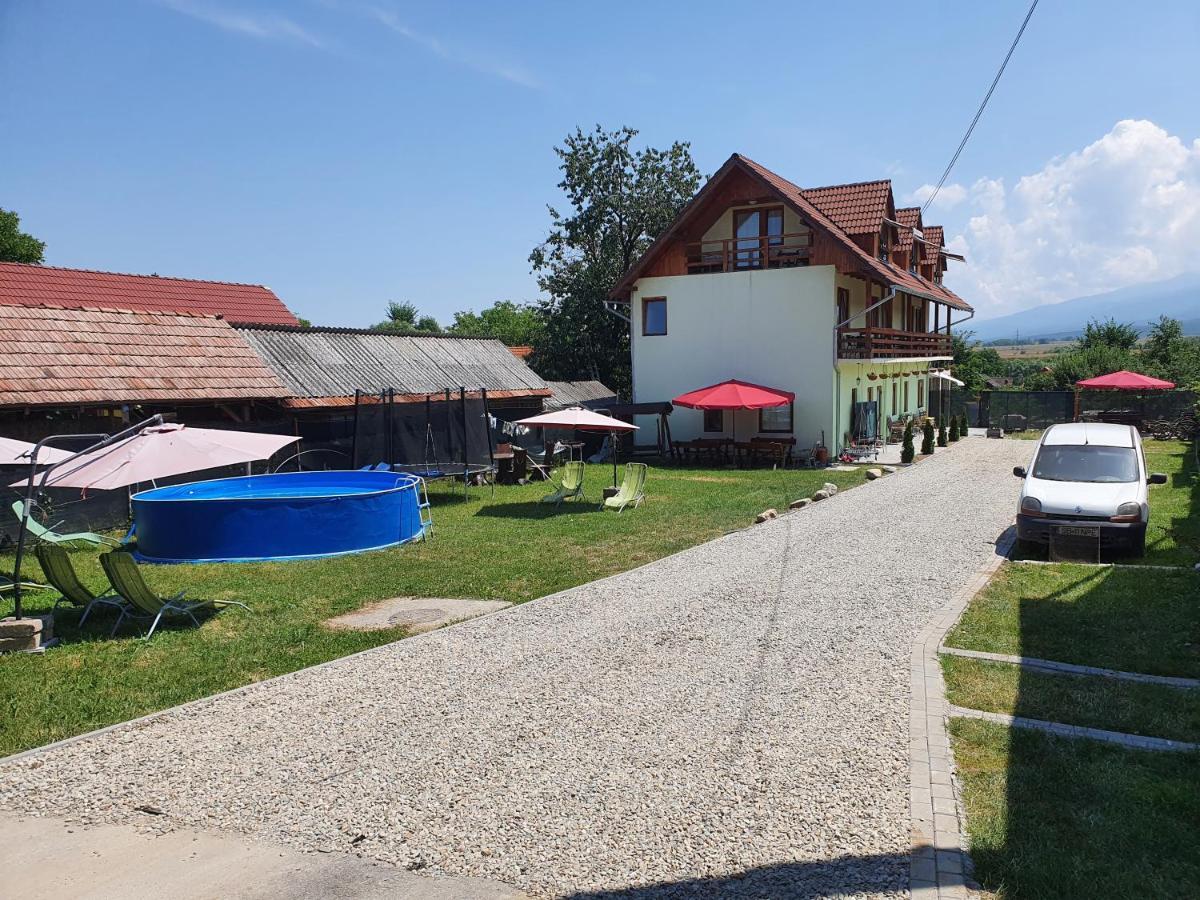 Pensiunea Leia Transfagarasan Cartisoara Luaran gambar